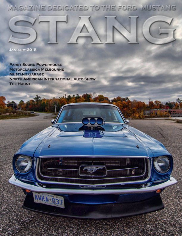 STANG Magazine January 2015 nach STANG Magazine anzeigen