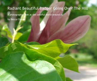 Radiant Beautiful Badger Going Over The Hill book cover