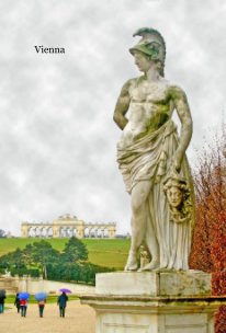 Vienna book cover
