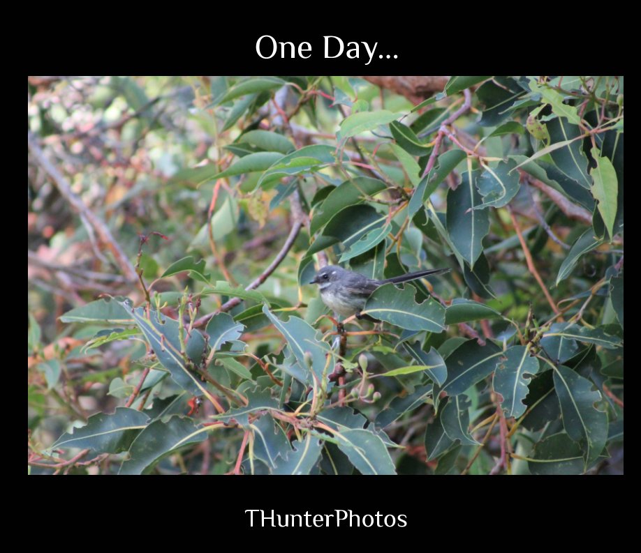 Ver One Day por Tomisha Hunter, thunterphotos