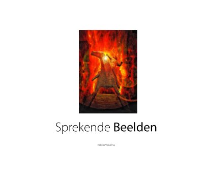 Sprekende Beelden book cover