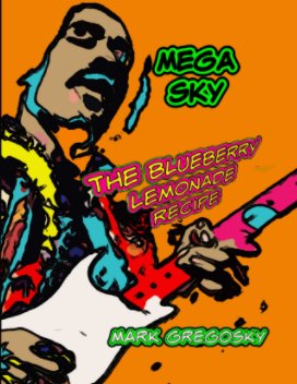 MEGA SKY book cover