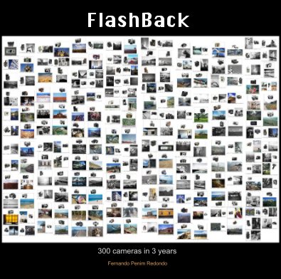 FlashBack book cover