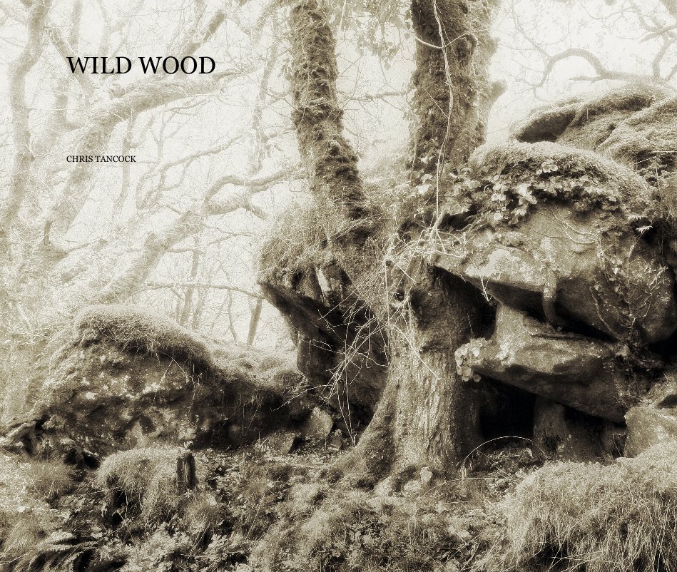 View WILD WOOD by CHRIS TANCOCK