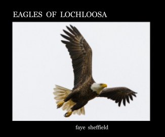 EAGLES OF LOCHLOOSA book cover