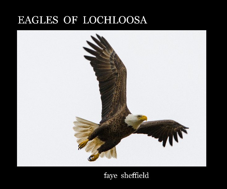 View EAGLES OF LOCHLOOSA by faye sheffield