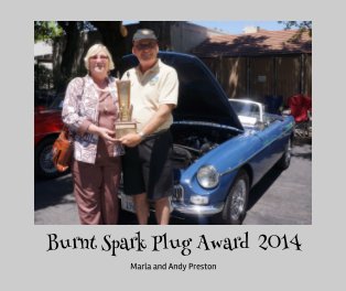 Burnt Spark Plug Award 2014 book cover