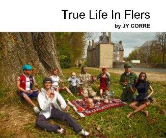 True Life In Flers book cover