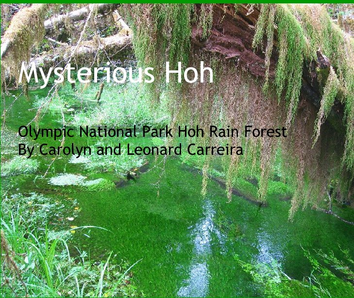 View Mysterious Hoh by Carolyn and Leonard Carreira