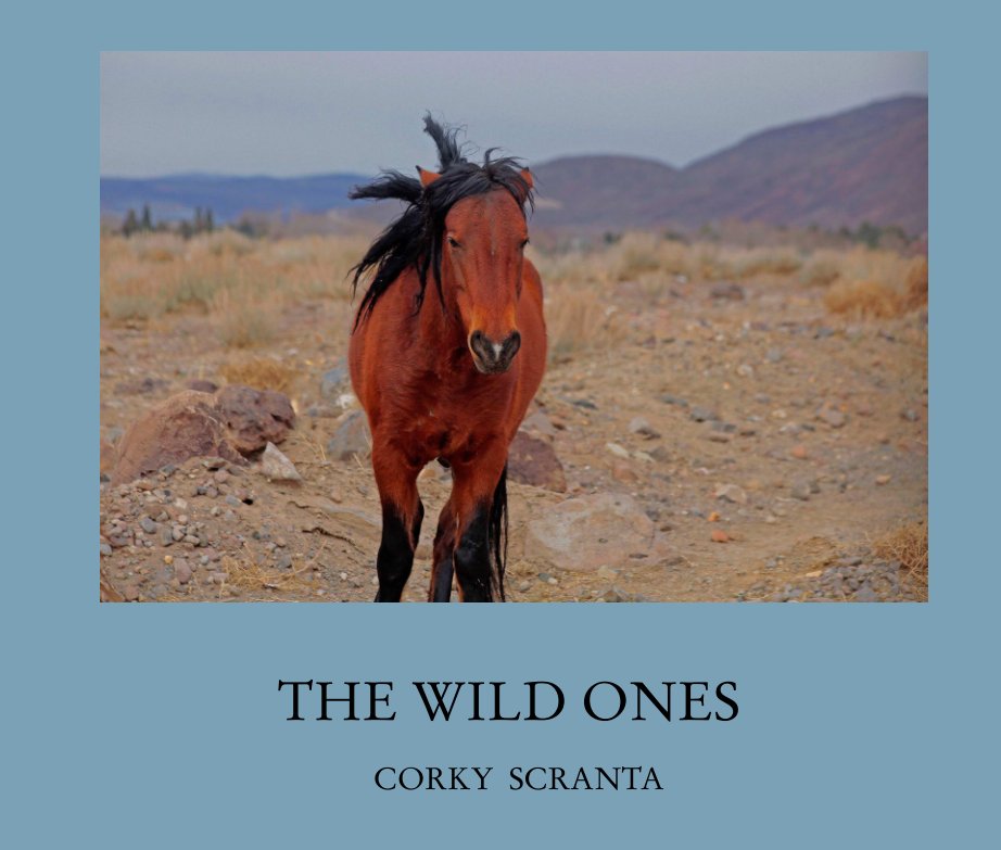 View THE WILD ONES by CORKY  SCRANTA