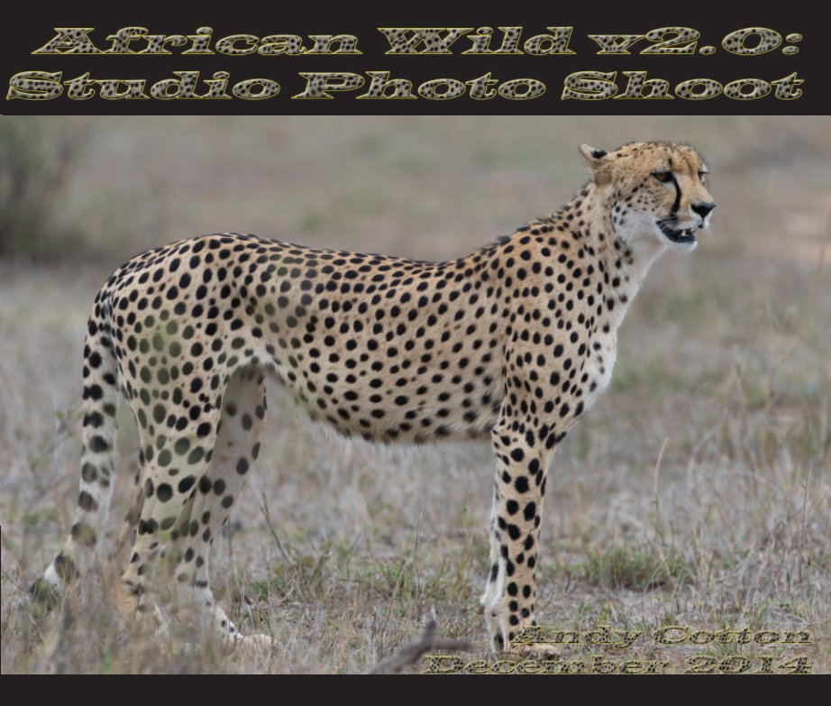 Ver Safari 2014 por Andy Cotton