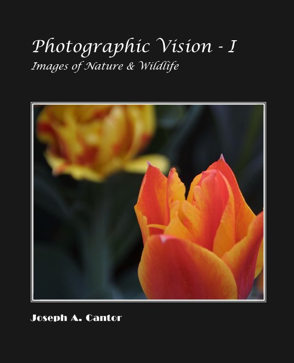 Visualizza Photographic Vision - I di Joseph A. Cantor
