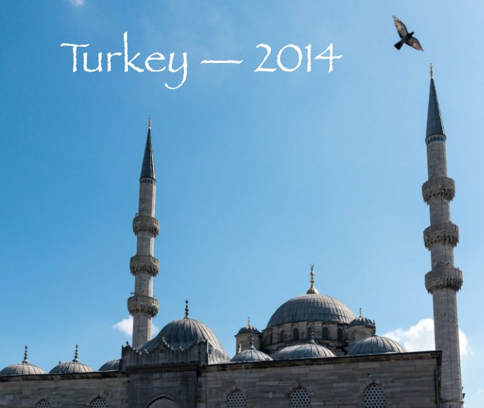 View Turkey in Brief by John Kotz