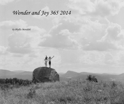 Wonder and Joy 365 2014 book cover