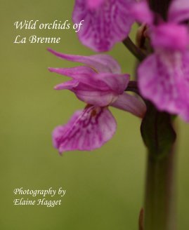 Wild orchids of La Brenne Photography by Elaine Hagget book cover