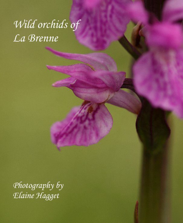 Wild orchids of La Brenne Photography by Elaine Hagget nach Elaine Hagget anzeigen