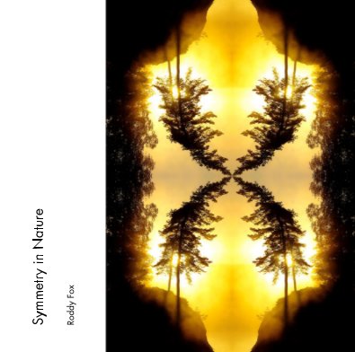 Symmetry in Nature book cover