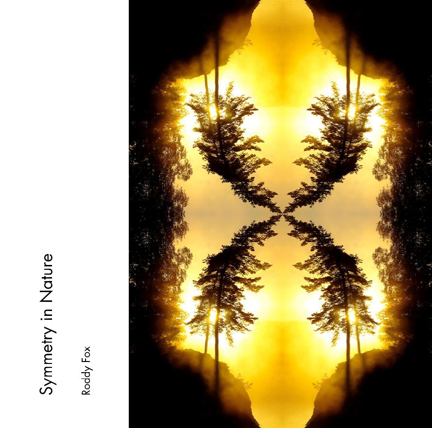 Ver Symmetry in Nature por Roddy Fox