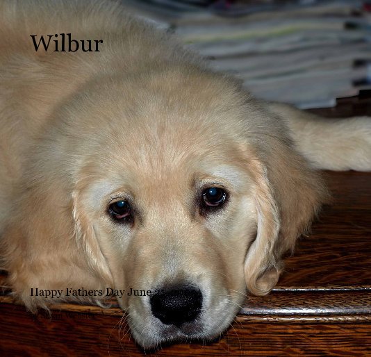View Wilbur by Susan Webster