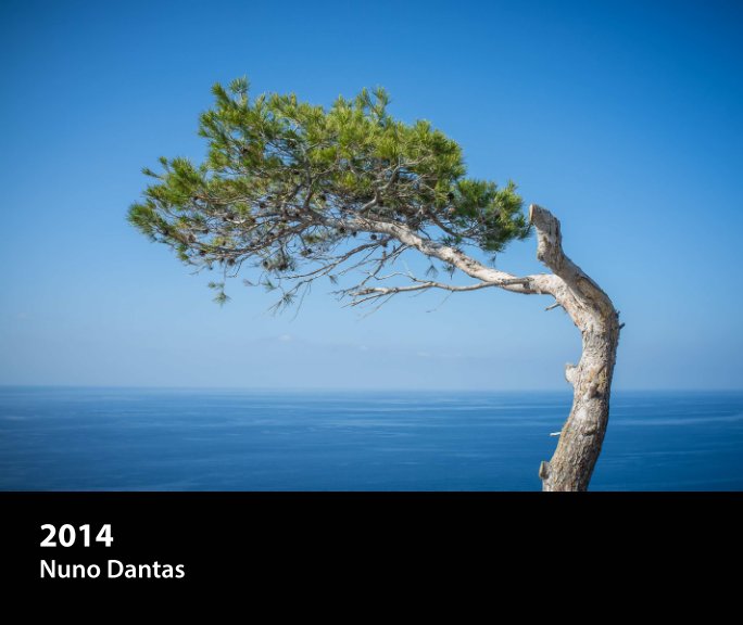 Bekijk 2014 op Nuno Dantas