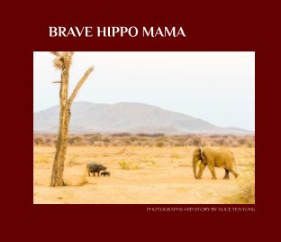 Brave Hippo Mama book cover