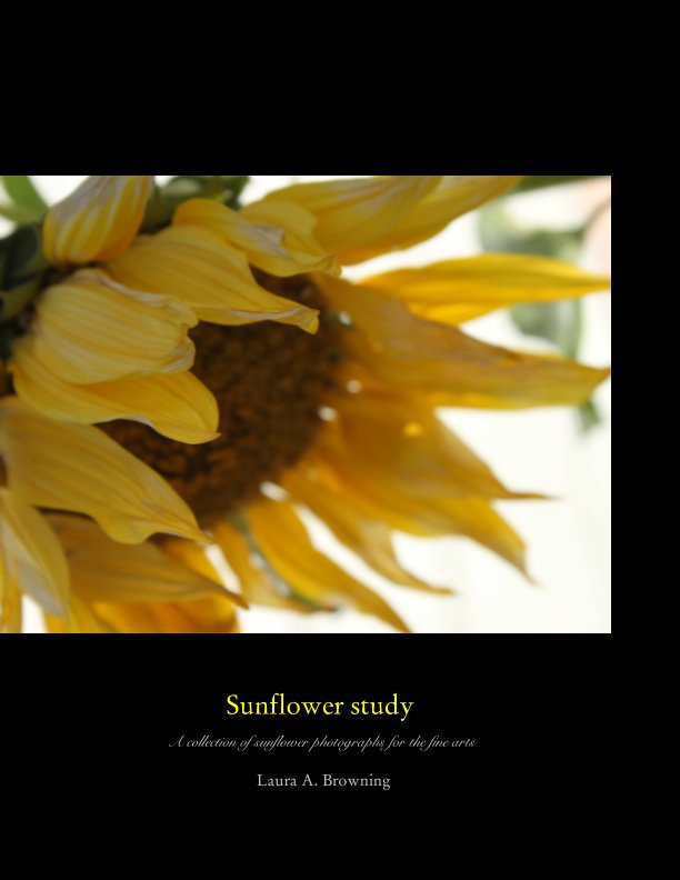 View Sunflower Study by Laura A. Browning