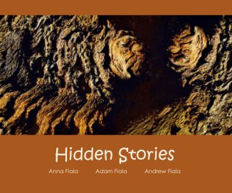 Hidden Stories book cover