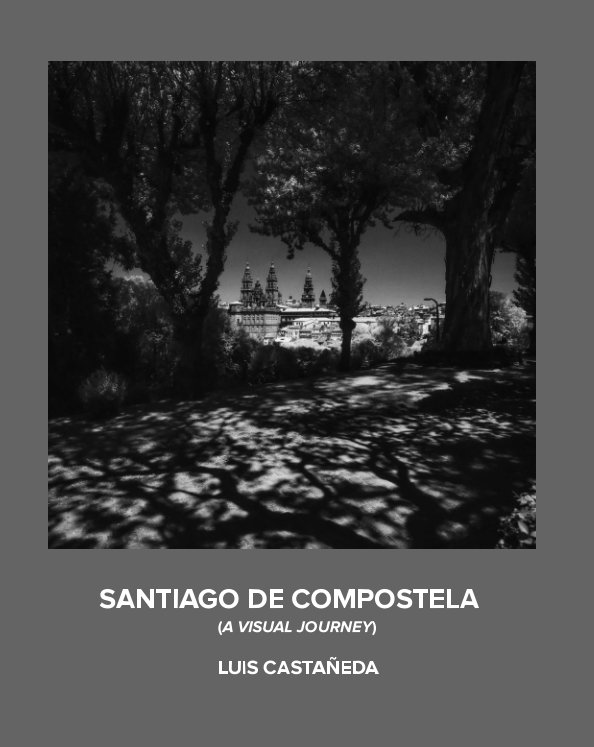 Ver Santiago de Compostela por Luis Castañeda