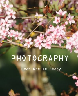 PHOTOGRAPHY Leah Noelle Heagy book cover