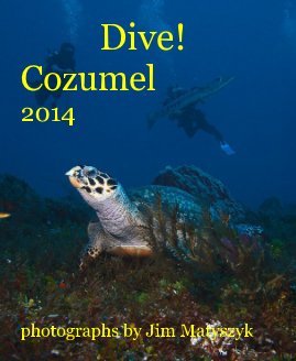 Dive!Cozumel 2014 photographs by Jim Matyszyk book cover
