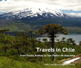 Travels in Chile book cover