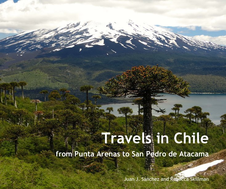 View Travels in Chile by Juan J. Sánchez and Rebecca Skillman