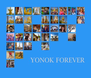 Yonok Forever 2015 book cover