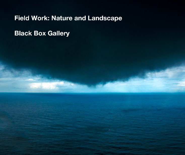 Ver Field Work: Nature and Landscape por Black Box Gallery