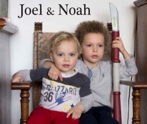Joel & Noah book cover