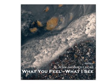 What You Feel - What I See book cover