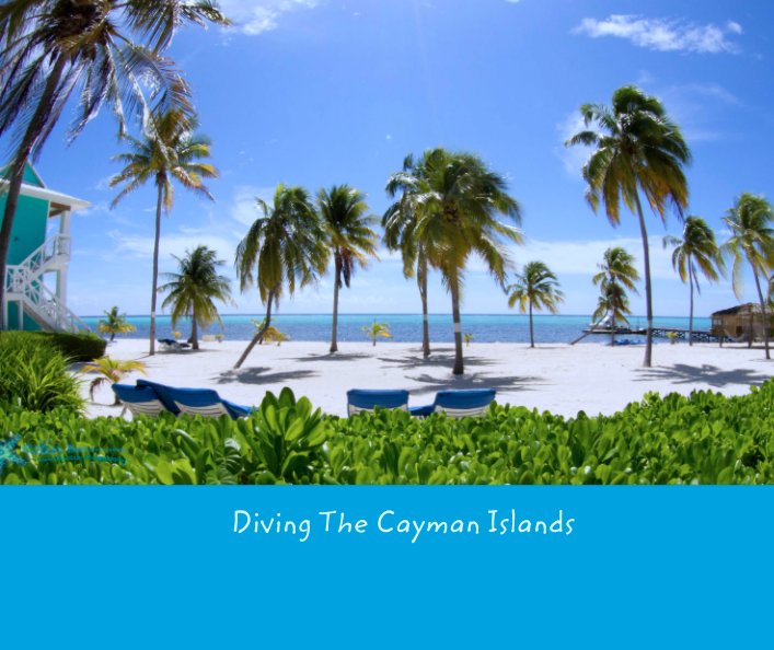 View Diving The Cayman Islands by Robin Bateman