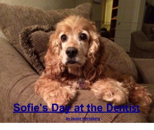 Sofie's Day at the Dentist book cover