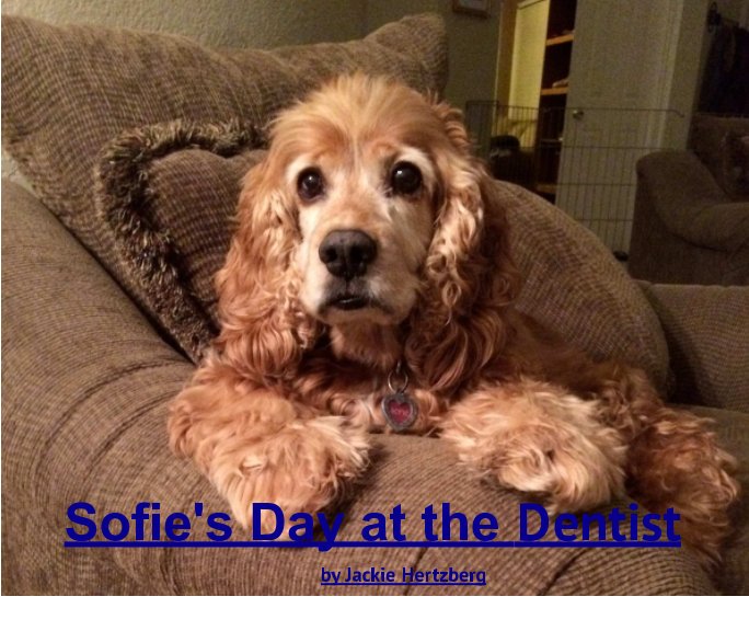 View Sofie's Day at the Dentist by Jackie Hertzberg