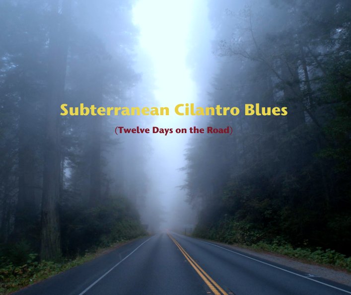 Ver Subterranean Cilantro Blues

(Twelve Days on the Road) por Stefano Cipriani