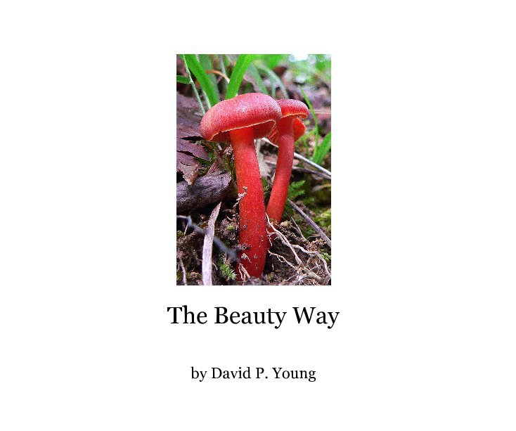 View The Beauty Way by David P. Young