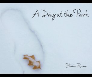 A Day in the Park book cover
