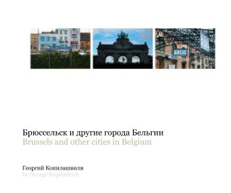 Брюссельск и другие города Бельгии book cover
