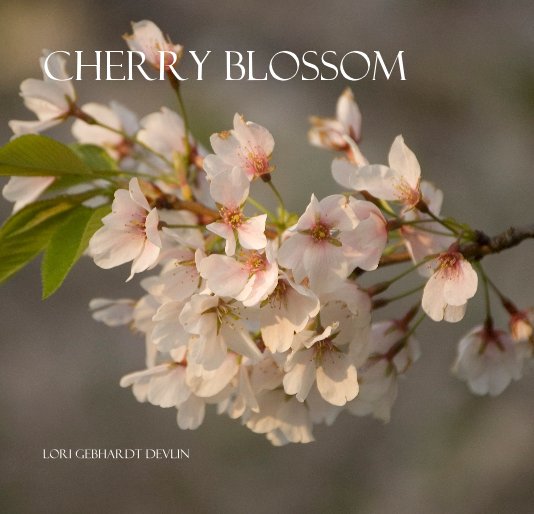 Ver Cherry Blossom por Lori Gebhardt Devlin