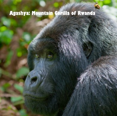 Agashya: Mountain Gorilla of Rwanda book cover