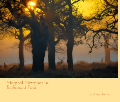 Magical Mornings in Richmond Park book cover