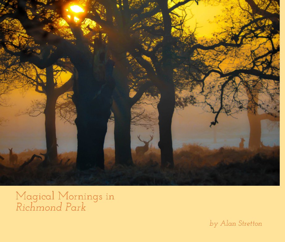 View Magical Mornings in Richmond Park by Alan Stretton