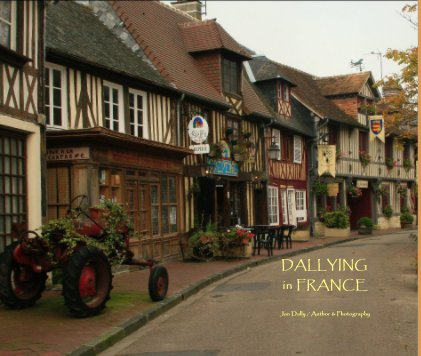 DALLYING in FRANCE book cover