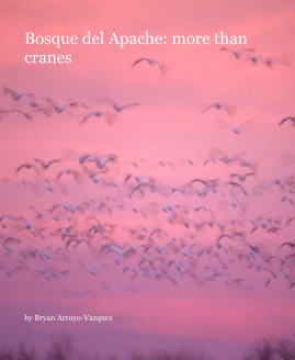 Bosque del Apache: more than cranes book cover