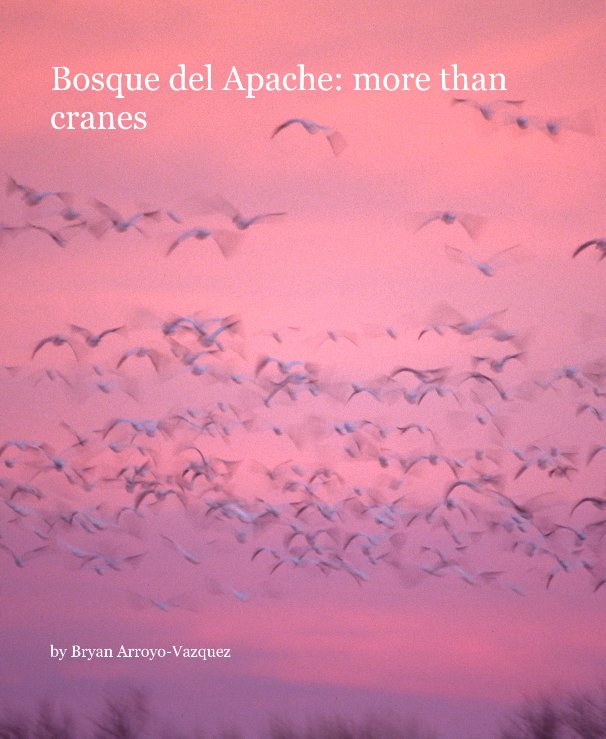 Ver Bosque del Apache: more than cranes por Bryan Arroyo-Vazquez